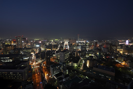 スカイトップからの景色（夜景）